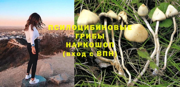 mix Богородск