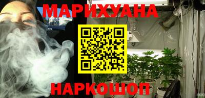 мдпв Владимир
