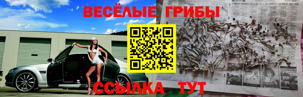 где продают наркотики  Галлюциногенные грибы мухоморы  Вход с VPN  Галлюциногенные грибы Magic Shrooms  Верхняя Пышма 